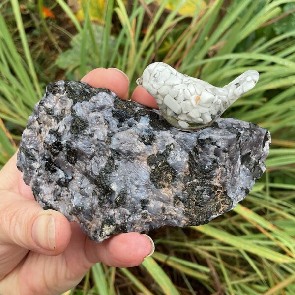 Bird on Llanite - Image 3