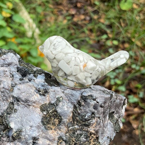 Bird on Llanite - Image 4