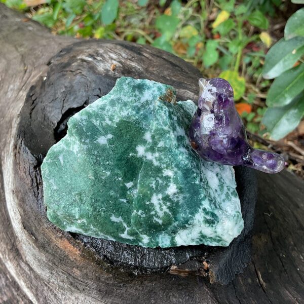 Bird on tree agate