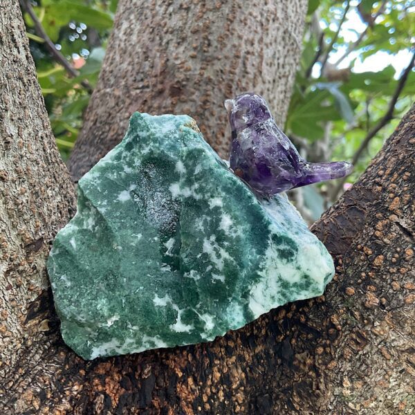Bird on Tree Agate - Image 4