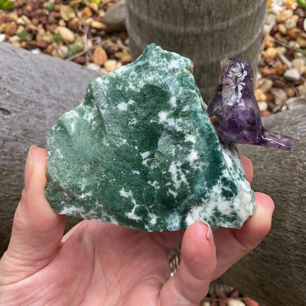 Bird on Tree Agate - Image 3