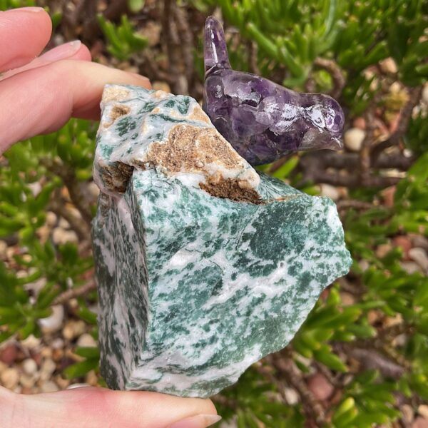 Bird on Tree Agate - Image 2