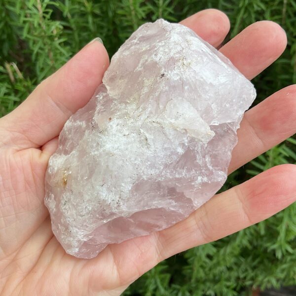Lizard on Rose Quartz - Image 3