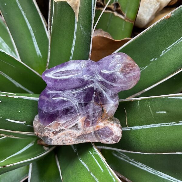 Chevron Amethyst Rabbit - Image 3