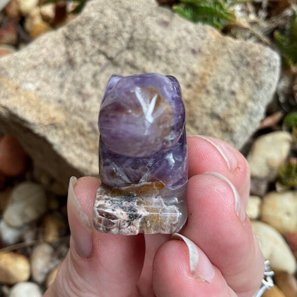 Chevron Amethyst Rabbit - Image 4