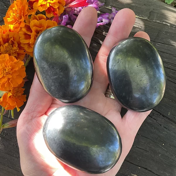Shungite Palm Stone - Image 2