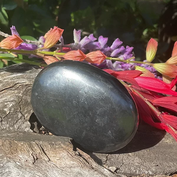 Shungite Palm Stone - Image 4
