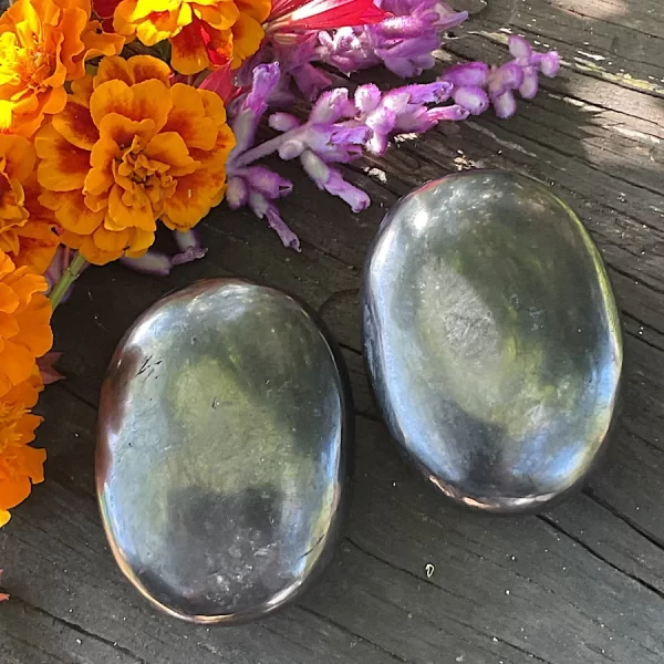 Shungite Palm Stone